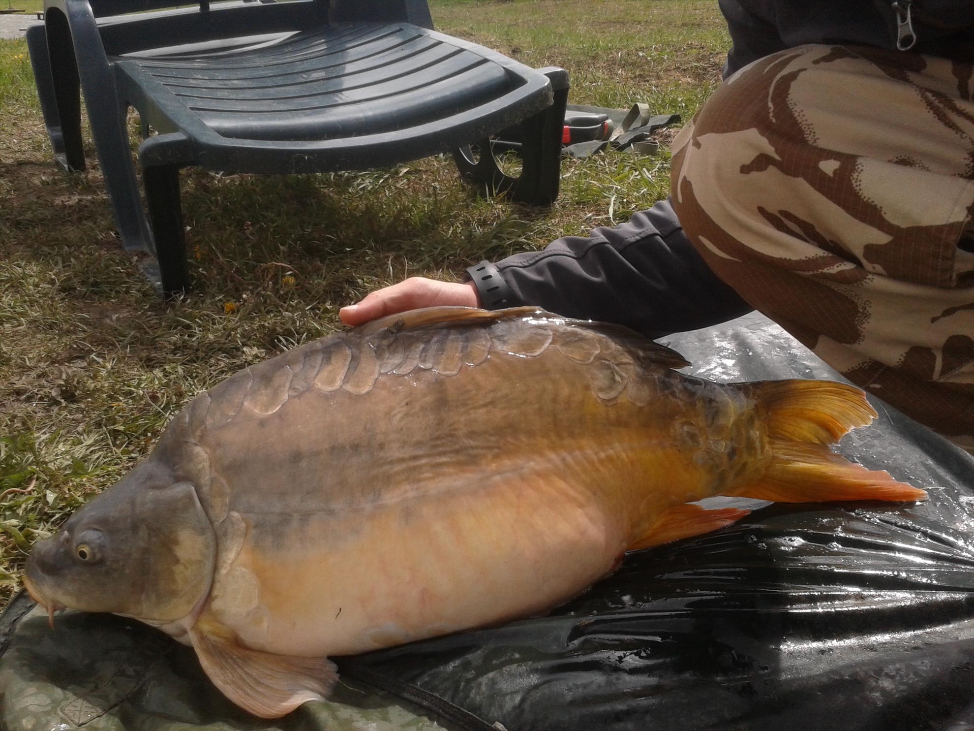 1 - 2014-04-19-140852.jpg